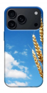 Чехол Пшеница для iPhone 17 Pro Max