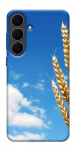 Чехол Пшеница для Galaxy S25 FE