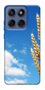 Чохол Пшениця для Motorola Edge 60 Fusion
