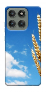 Чохол Пшениця для Motorola Edge 60 Pro