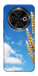 Чохол Пшениця для TECNO Spark 30C (KL5n)