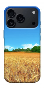 Чехол Пшеничное поле для iPhone 17 Pro Max