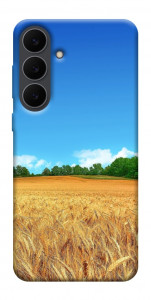 Чехол Пшеничное поле для Galaxy S25 FE