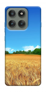 Чохол Пшеничне поле для Motorola Edge 60 Pro