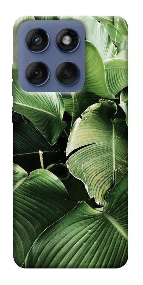 Чохол Тропічние листя для Motorola Edge 60 Fusion
