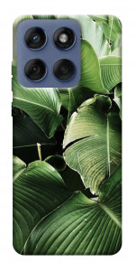 Чохол Тропічние листя для Motorola Edge 60 Fusion