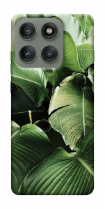 Чохол Тропічние листя для Motorola Edge 60 Pro
