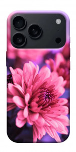 Чохол Ніжна хризантема для iPhone 17 Pro Max