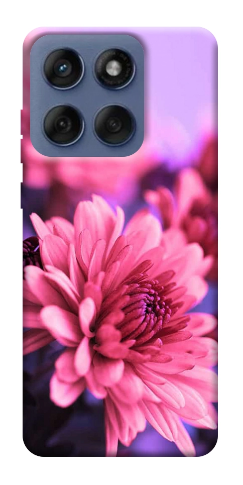 Чохол Ніжна хризантема для Motorola Edge 60 Fusion