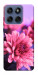 Чохол Ніжна хризантема для Motorola Edge 60 Fusion