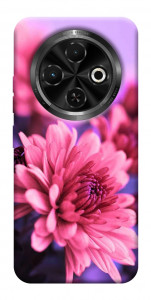 Чехол Нежная хризантема для TECNO Spark 30C (KL5n)