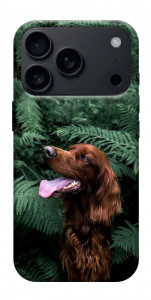 Чохол Собака у зелені для iPhone 17 Pro Max