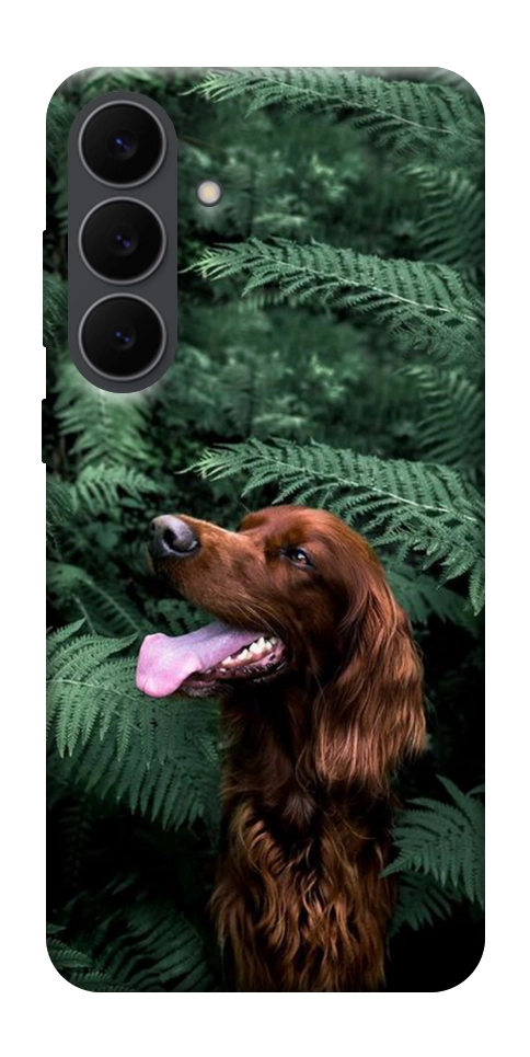 Чехол Собака в зелени для Galaxy S25 FE