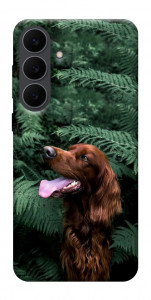 Чехол Собака в зелени для Galaxy S25 FE
