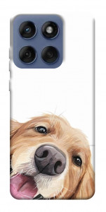 Чохол Funny dog для Motorola Edge 60 Fusion