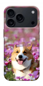 Чехол Корги в цветах для iPhone 17 Pro