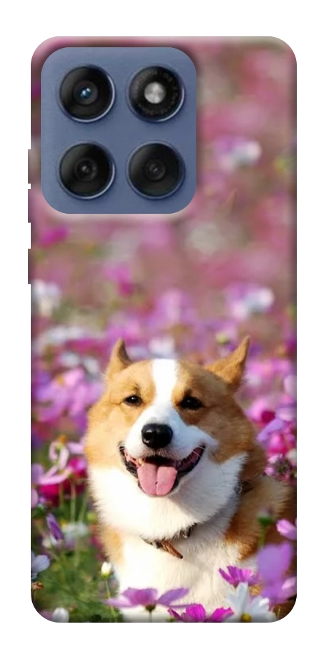 Чехол Корги в цветах для Motorola Edge 60 Fusion