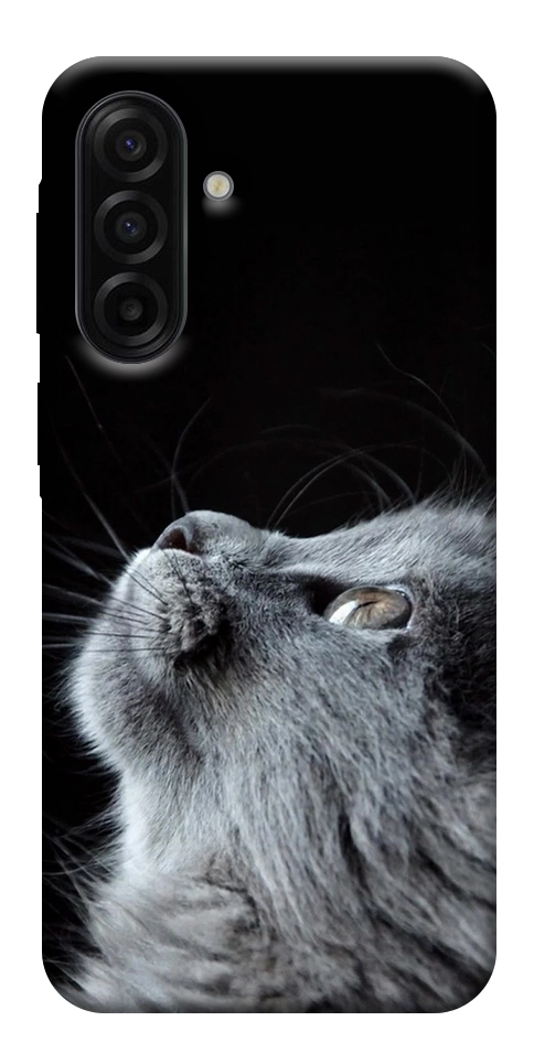 Чохол Cute cat для Galaxy A17 5G