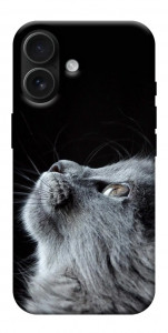 Чохол Cute cat для iPhone 17