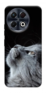 Чохол Cute cat для TECNO Spark 30 Pro (KL7)