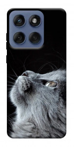 Чохол Cute cat для Motorola Edge 60 Fusion
