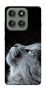 Чохол Cute cat для Motorola Edge 60 Pro