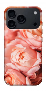 Чехол Нежные розы для iPhone 17 Pro Max