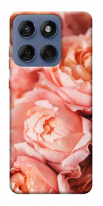 Чохол Ніжні троянди для Motorola Edge 60 Fusion