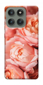 Чохол Ніжні троянди для Motorola Edge 60 Pro