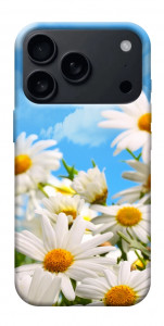 Чехол Ромашковое поле для iPhone 17 Pro Max