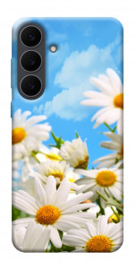 Чехол Ромашковое поле для Galaxy S25 FE