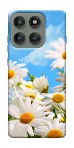 Чохол Ромашкове поле для Motorola Edge 60 Pro
