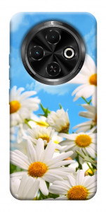 Чехол Ромашковое поле для TECNO Spark 30C (KL5n)