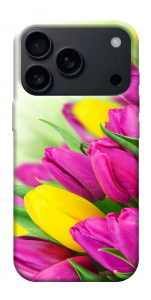 Чехол Красочные тюльпаны для iPhone 17 Pro Max