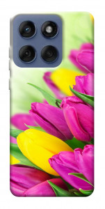 Чохол Барвисті тюльпани для Motorola Edge 60 Fusion