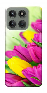 Чохол Барвисті тюльпани для Motorola Edge 60 Pro
