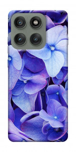 Чохол Гортензія для Motorola Edge 60 Pro