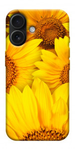 Чохол Букет соняшників для iPhone 17