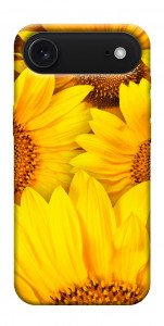 Чохол Букет соняшників для iPhone 17 Air