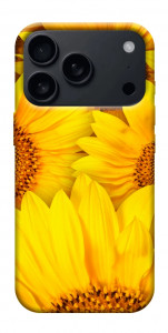 Чехол Букет подсолнухов для iPhone 17 Pro Max
