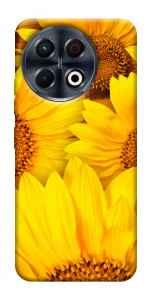 Чохол Букет соняшників для TECNO Spark 30 Pro (KL7)