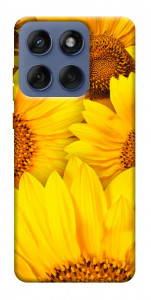 Чохол Букет соняшників для Motorola Edge 60 Fusion