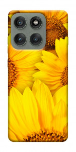 Чохол Букет соняшників для Motorola Edge 60 Pro