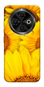 Чехол Букет подсолнухов для TECNO Spark 30C (KL5n)