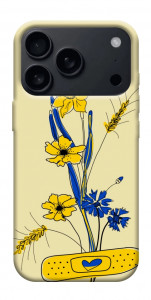 Чехол Українські квіточки для iPhone 17 Pro Max