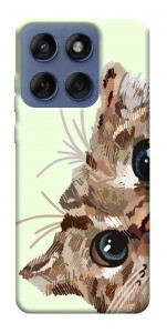 Чохол Cat muzzle для Motorola Edge 60 Fusion