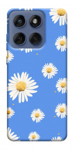 Чохол Chamomile pattern для Motorola Edge 60 Fusion