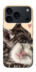Чохол Cats love для iPhone 17 Pro Max