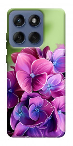 Чохол Мереживна гортензія для Motorola Edge 60 Fusion