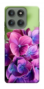 Чохол Мереживна гортензія для Motorola Edge 60 Pro